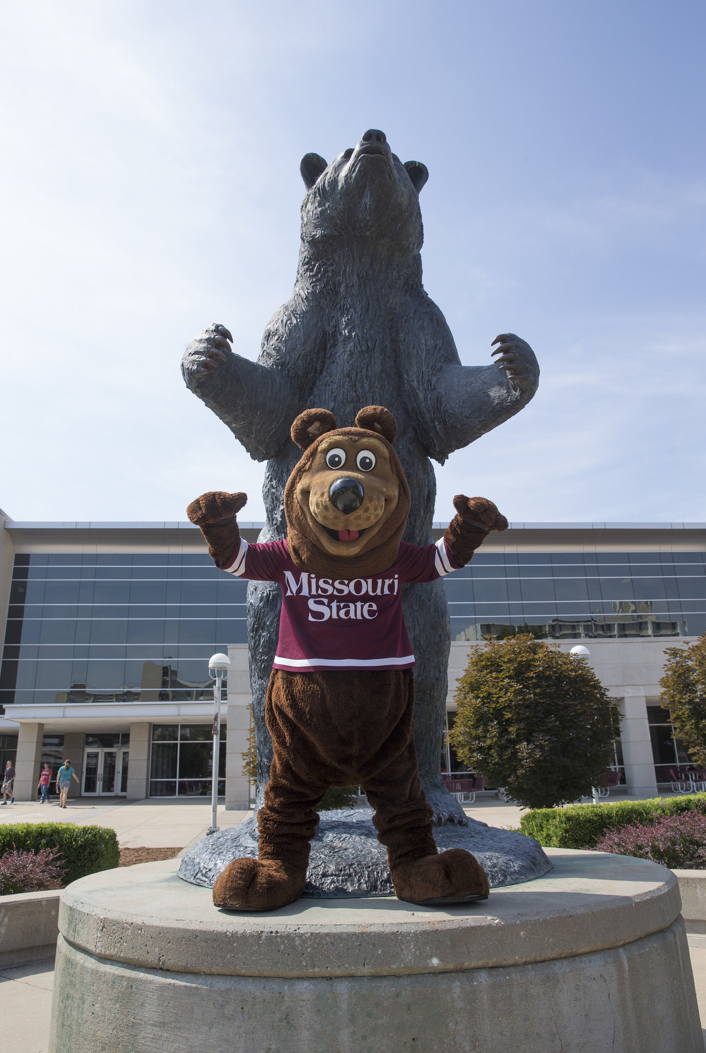 Missouri State Bear